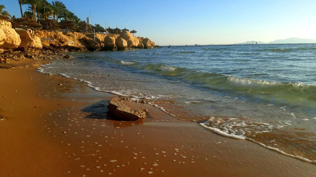 الفندق الباتروس رويال جراند - شرم الشيخ